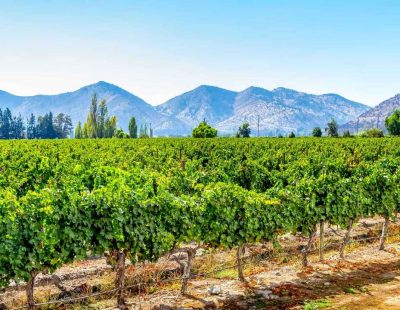 valle maipo_1